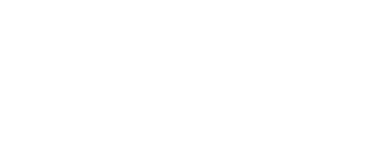 Candidate Consult Logo